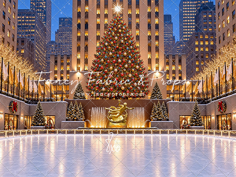 Wintertime Skating Rink - with Sweep Option