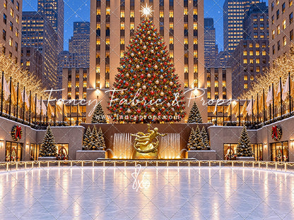 Wintertime Skating Rink - with Sweep Option