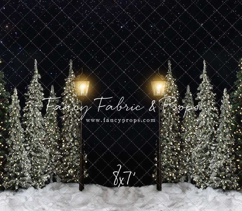 Christmas Forest Path