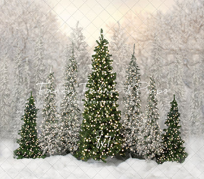 Cozy Christmas Cottage 2pc Room