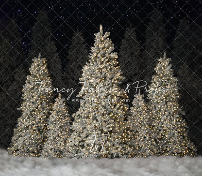 Modern Christmas Barn - with light - 2pc Room