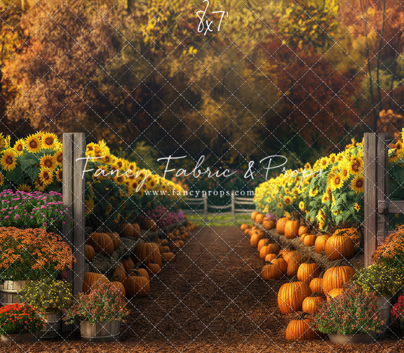 Sunflower Valley Farms - Room