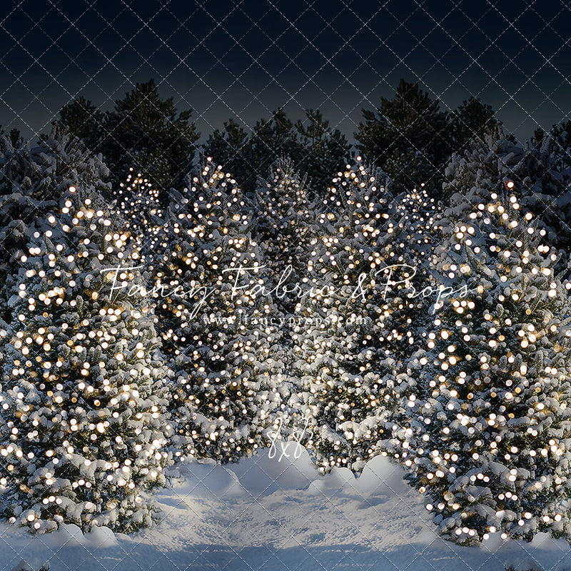 Evening Snowy Winter Tree Farm - No Gate