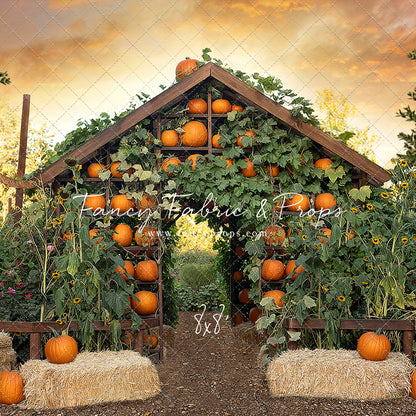 Pumpkin House