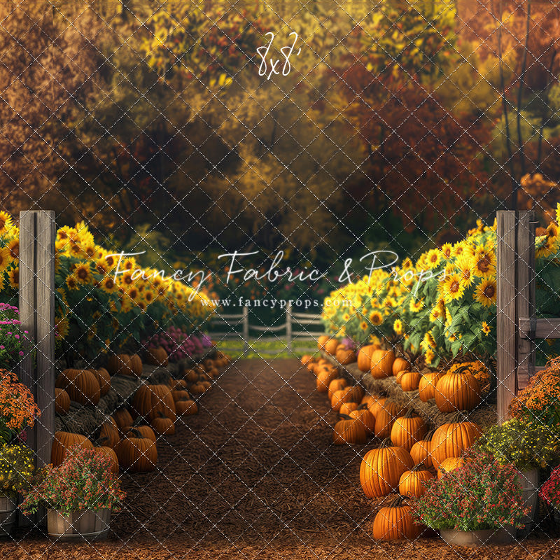 Sunflower Valley Farms - Room