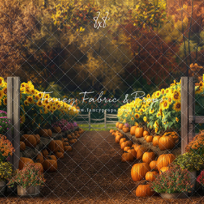 Sunflower Valley Farms - Room