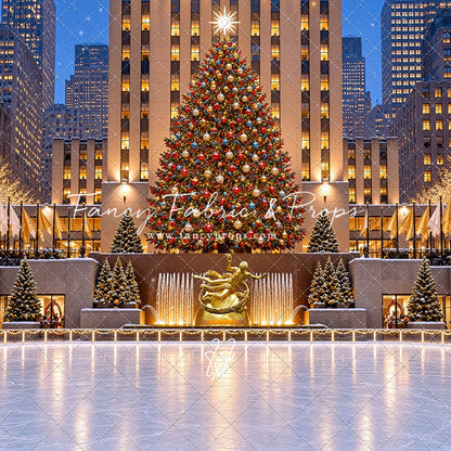 Wintertime Skating Rink - with Sweep Option
