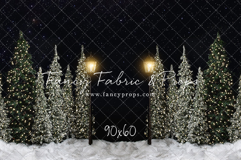 Christmas Forest Path