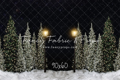 Christmas Forest Path