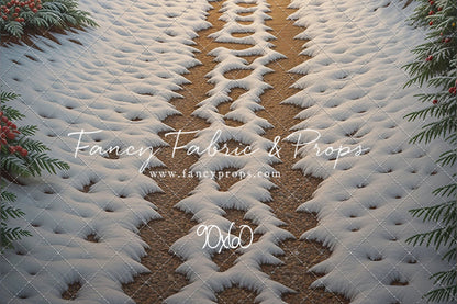 Christmas Path - Floor