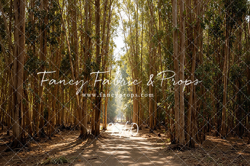 Eucalyptus Forest - With Sweep Option