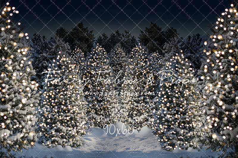 Evening Snowy Winter Tree Farm - No Gate
