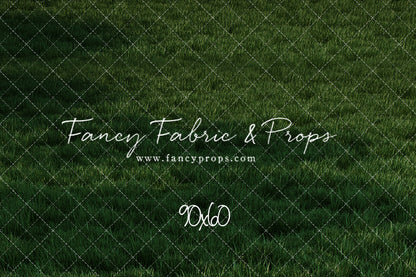 Freedom Ride Grass Floor