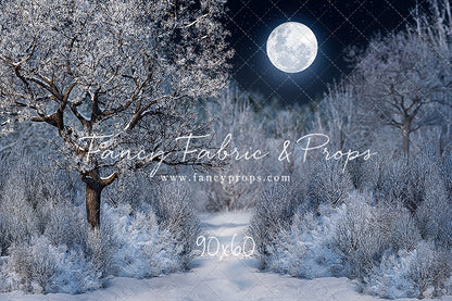 Frosty Winter Night - with Sweep Option