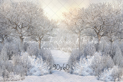 Morning Frost - with Sweep Option