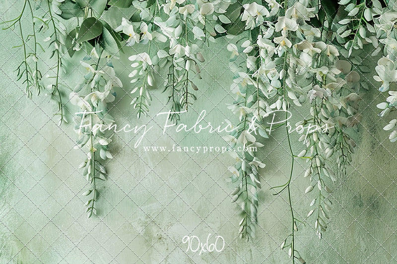 Painted White Wisteria