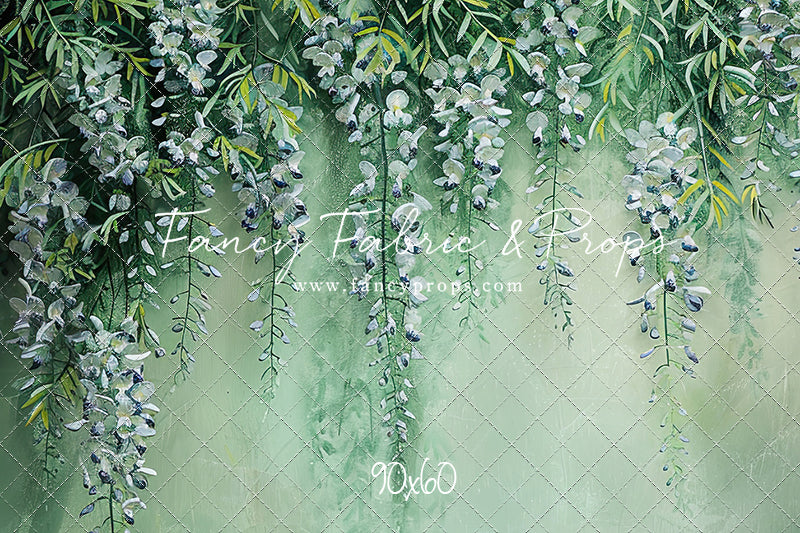 Painted Wisteria