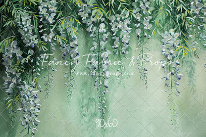 Painted Wisteria