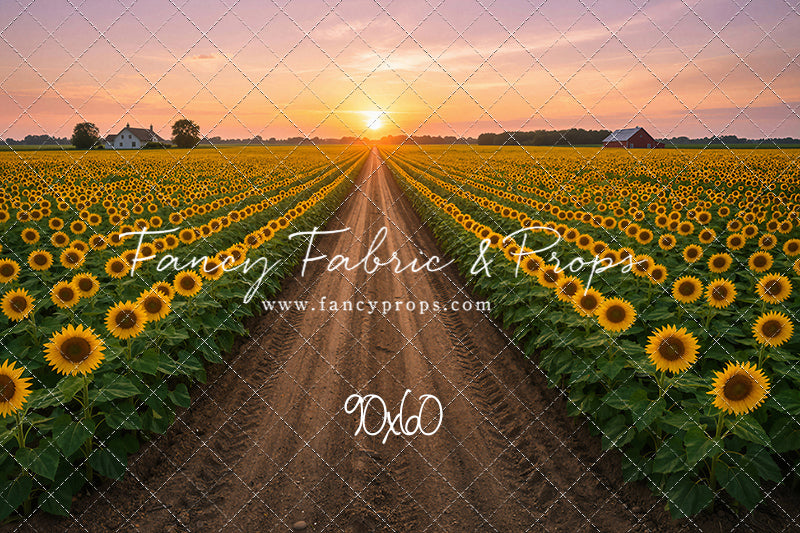 Sunflower Road - With Sweep Option