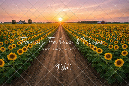 Sunflower Road - With Sweep Option