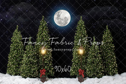 Winter Cabin 2pc Mini Room