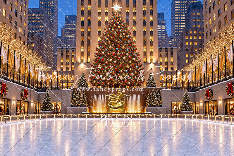 Wintertime Skating Rink - with Sweep Option