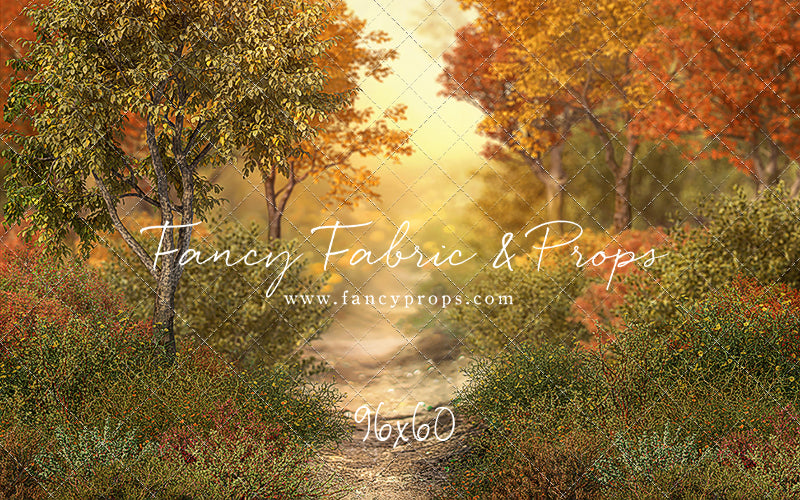 Autumn Forest Path - With Sweep Option