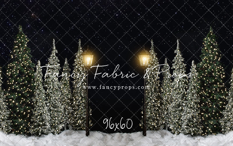 Christmas Forest Path