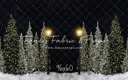 Christmas Forest Path