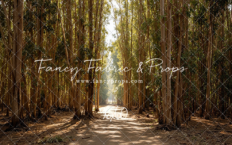 Eucalyptus Forest - With Sweep Option