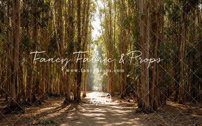 Eucalyptus Forest - With Sweep Option