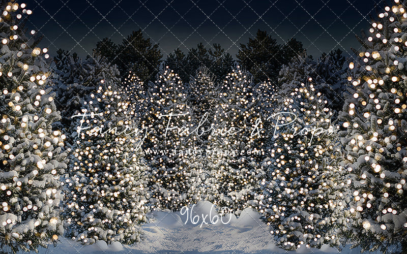 Evening Snowy Winter Tree Farm - No Gate