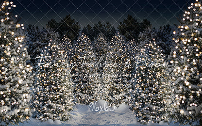 Evening Snowy Winter Tree Farm - No Gate