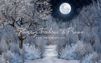 Frosty Winter Night - with Sweep Option