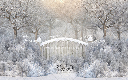 Icy Winter Gate