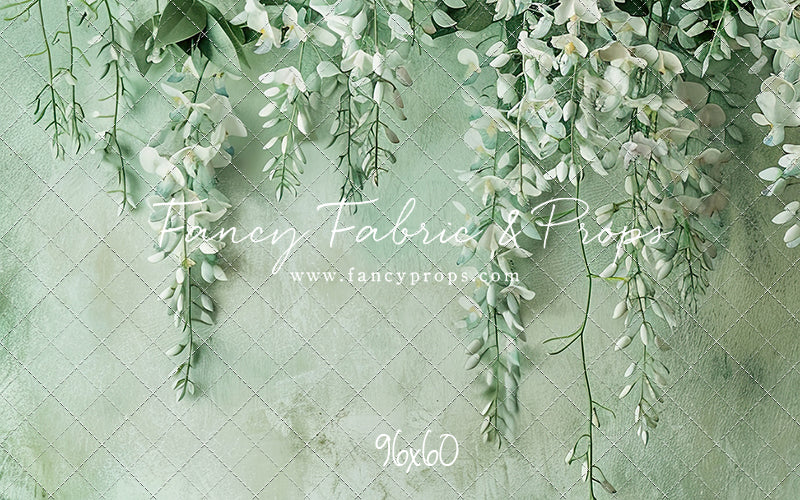 Painted White Wisteria