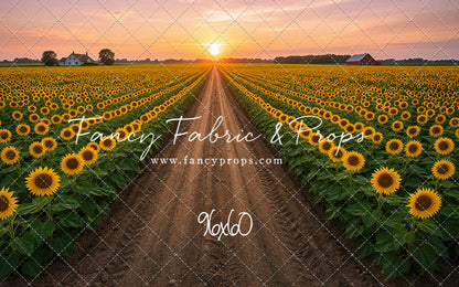 Sunflower Road - With Sweep Option