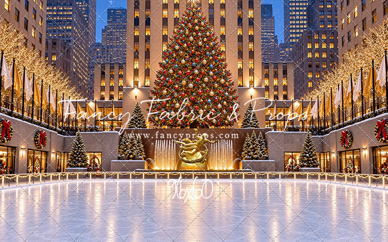 Wintertime Skating Rink - with Sweep Option