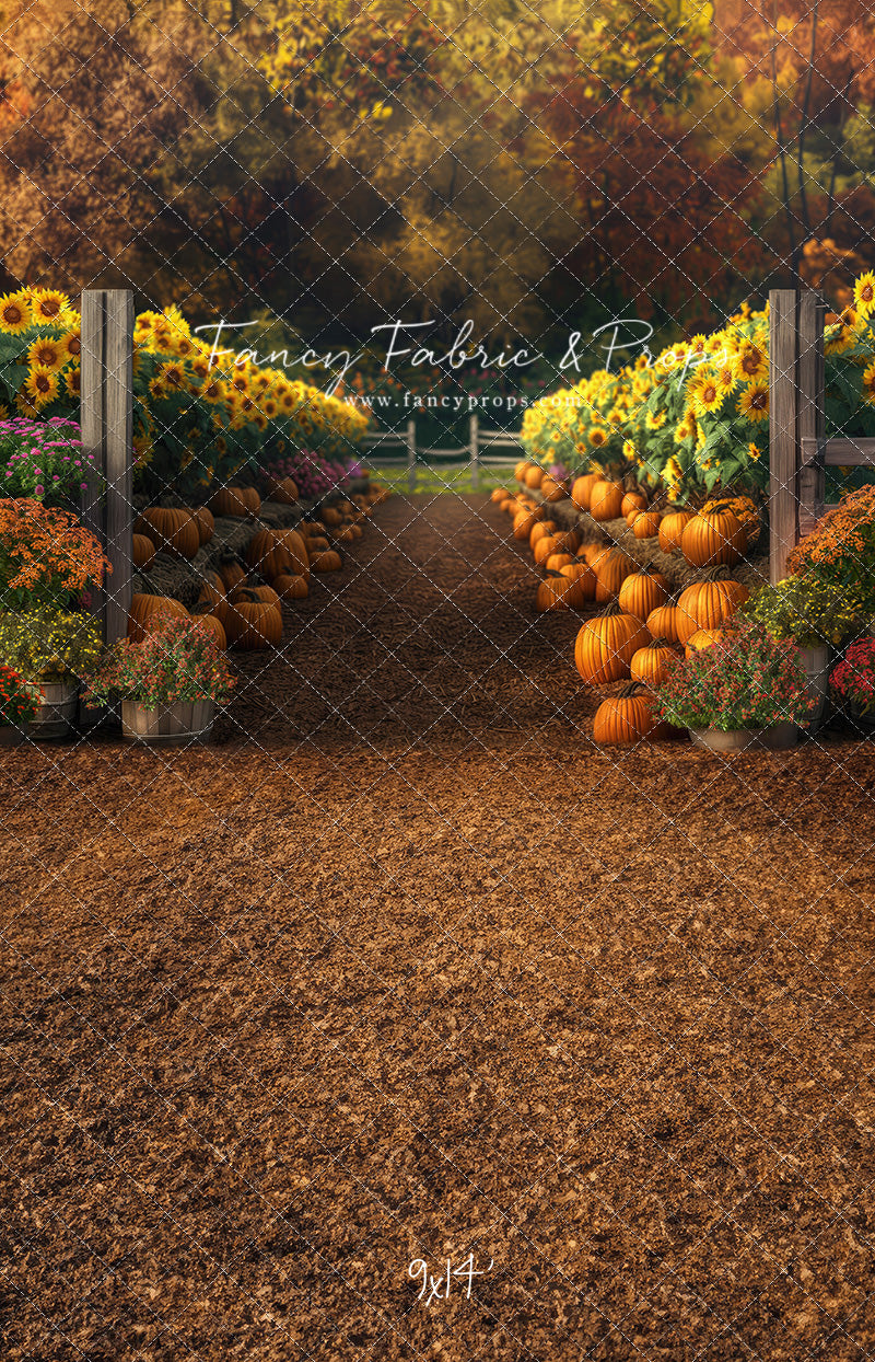 Sunflower Valley Trail - With Sweep Option