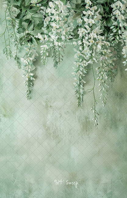 Painted White Wisteria