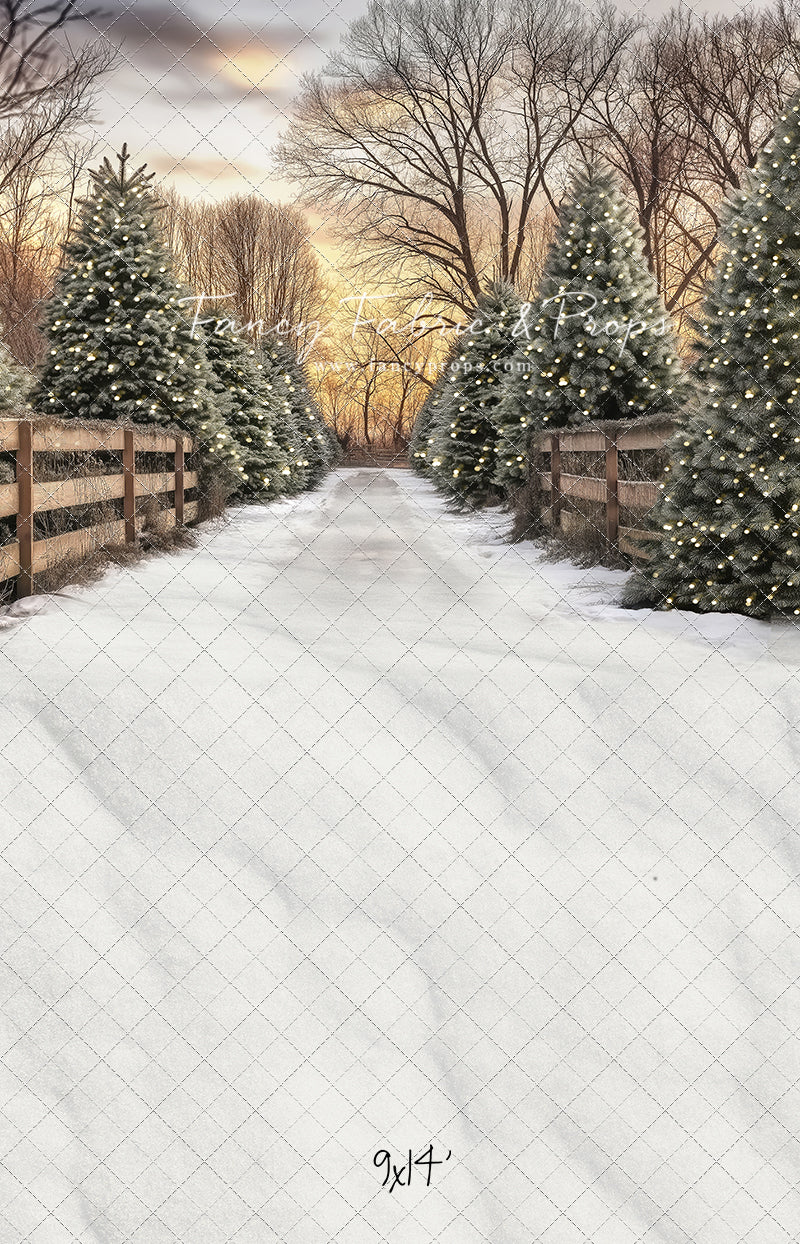 Twinkling Pines Trail - With Sweep Option