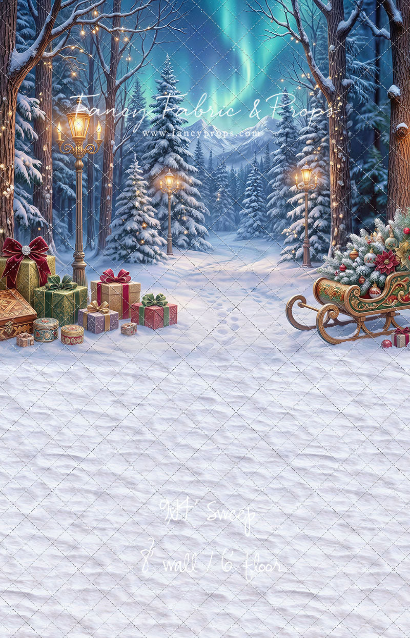 Aurora Winter Walk - with Sweep Option