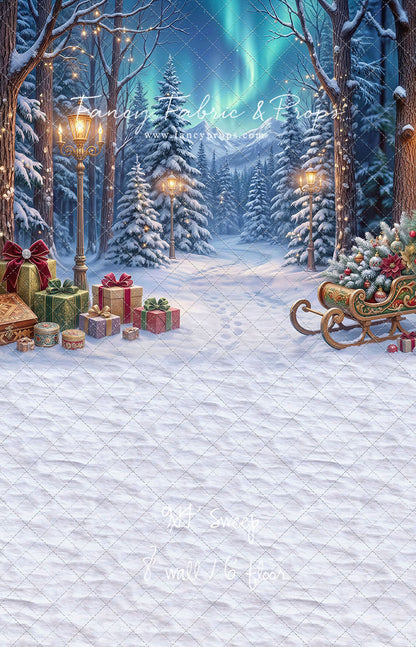 Aurora Winter Walk - with Sweep Option