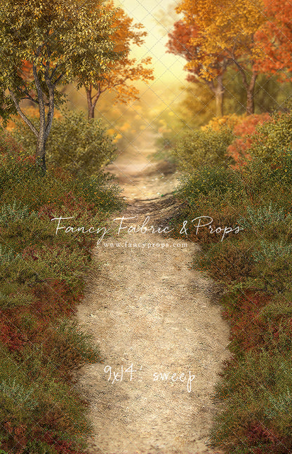 Autumn Forest Path - With Sweep Option