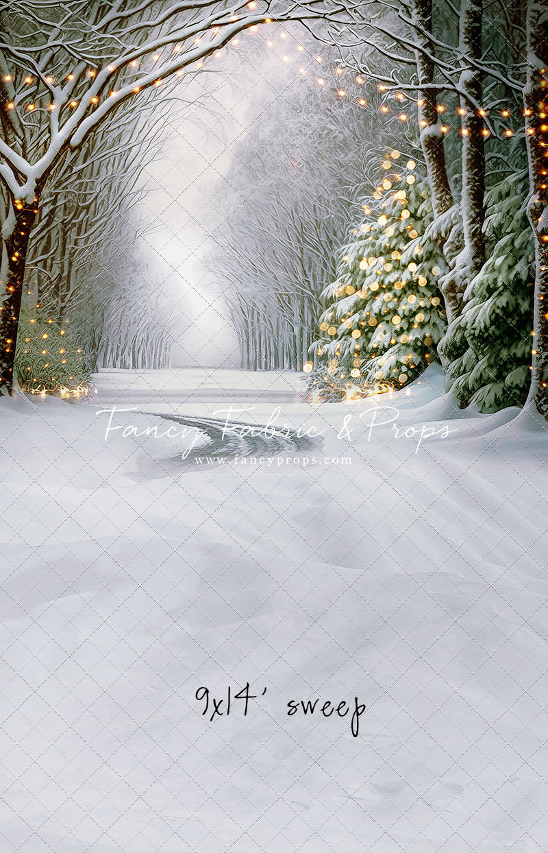 Down The Winter Road - with Sweep Option