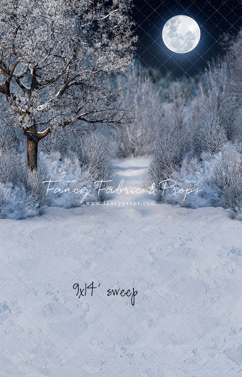 Frosty Winter Night - with Sweep Option