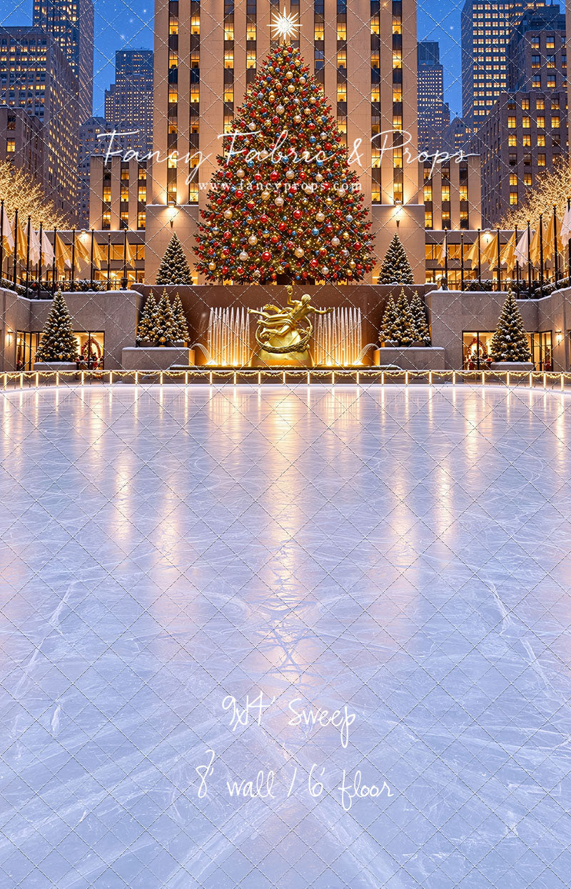 Wintertime Skating Rink - with Sweep Option