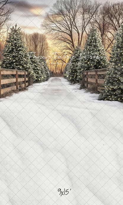 Twinkling Pines Trail - With Sweep Option