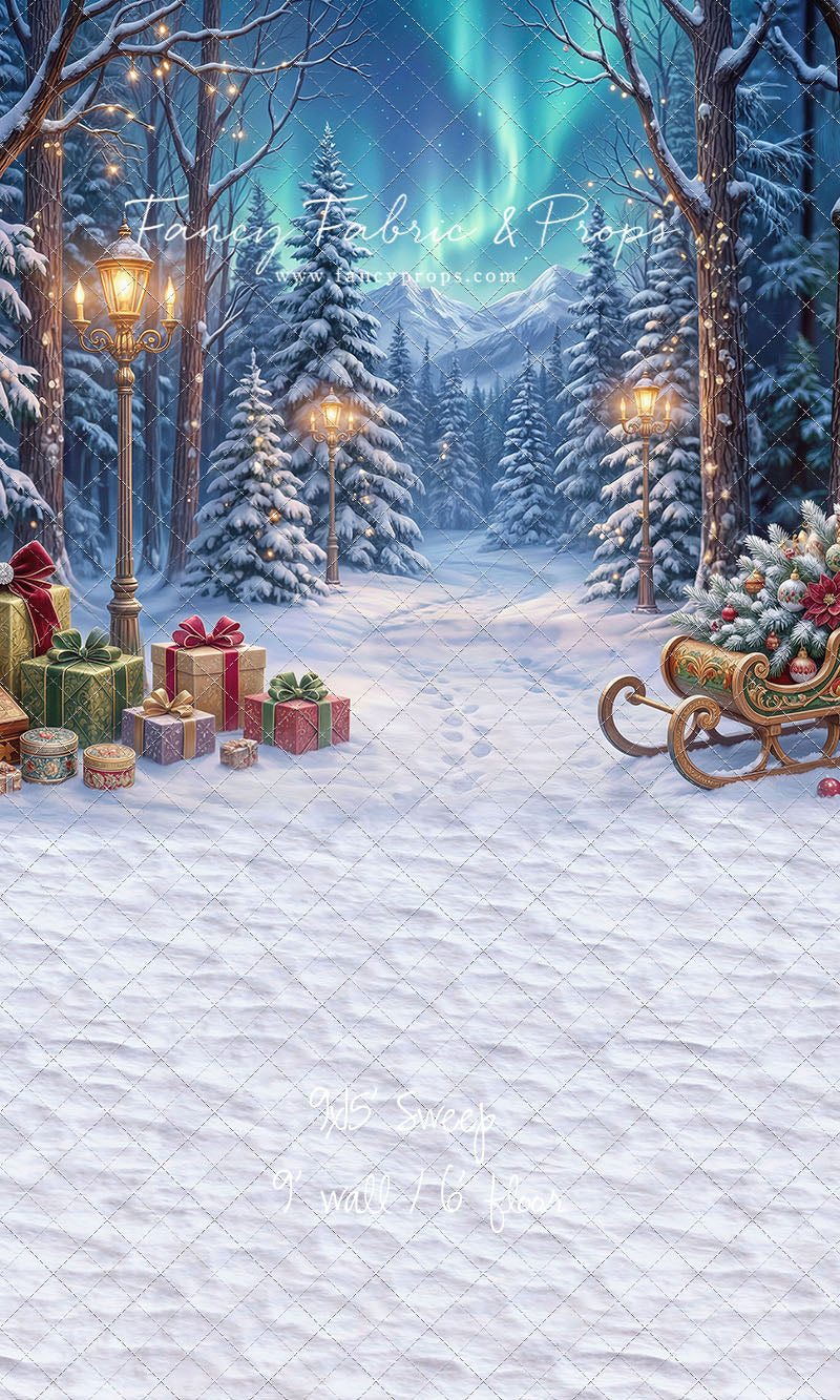 Aurora Winter Walk - with Sweep Option