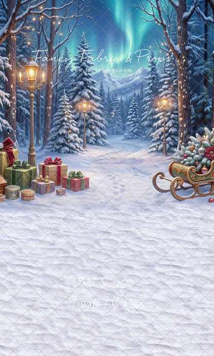 Aurora Winter Walk - with Sweep Option